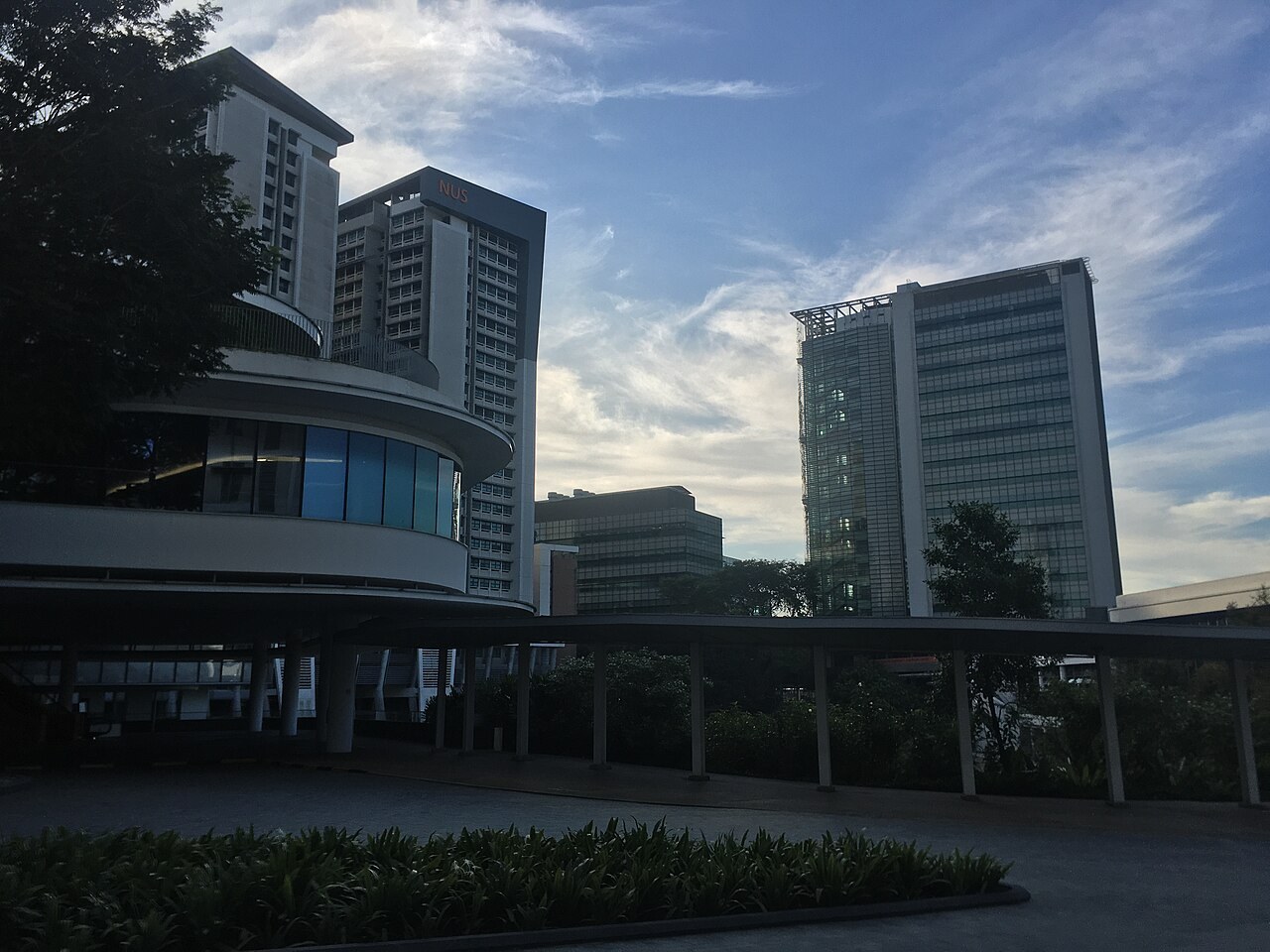 新加坡国立大学 University Town · 从适应校园,到建立自己的学习节奏